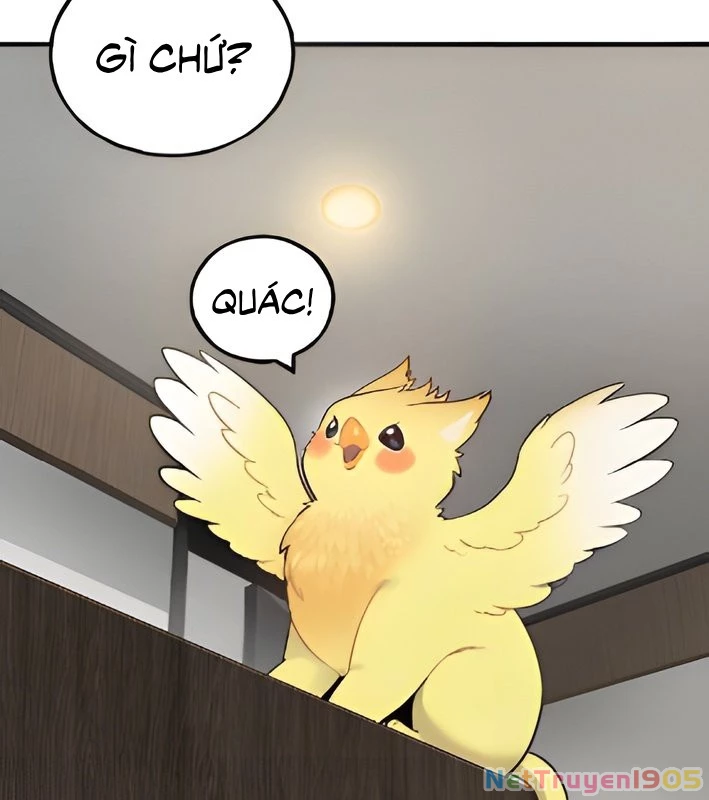 Chào Nhé, Griffin Mắt Tròn! Chapter 4 - Trang 2