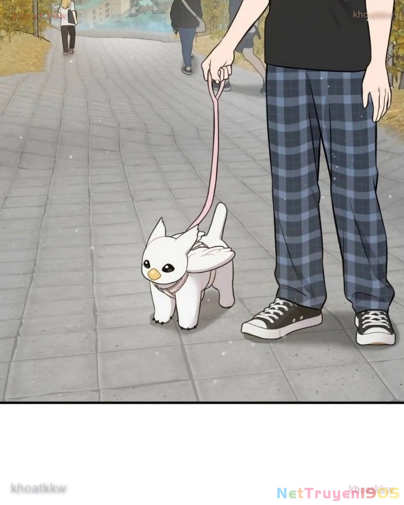 Chào Nhé, Griffin Mắt Tròn! Chapter 6 - Trang 2