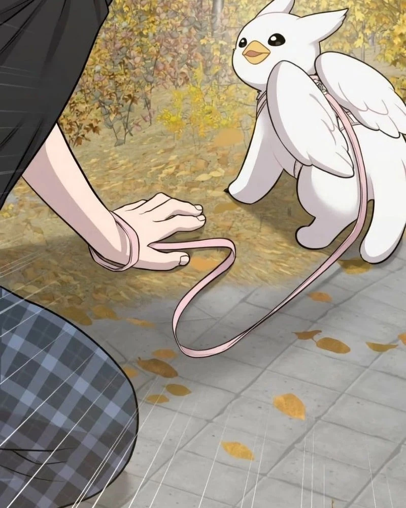 Chào Nhé, Griffin Mắt Tròn! Chapter 6 - Trang 2