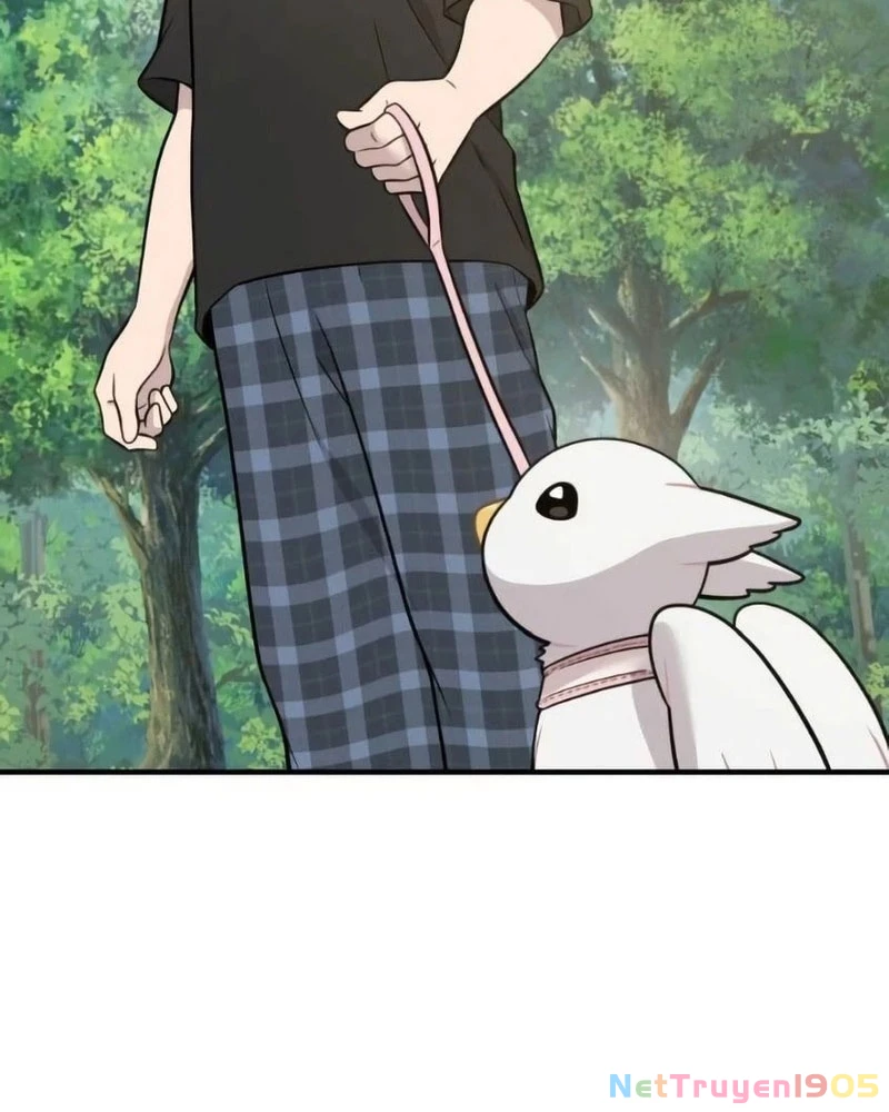 Chào Nhé, Griffin Mắt Tròn! Chapter 6 - Trang 2