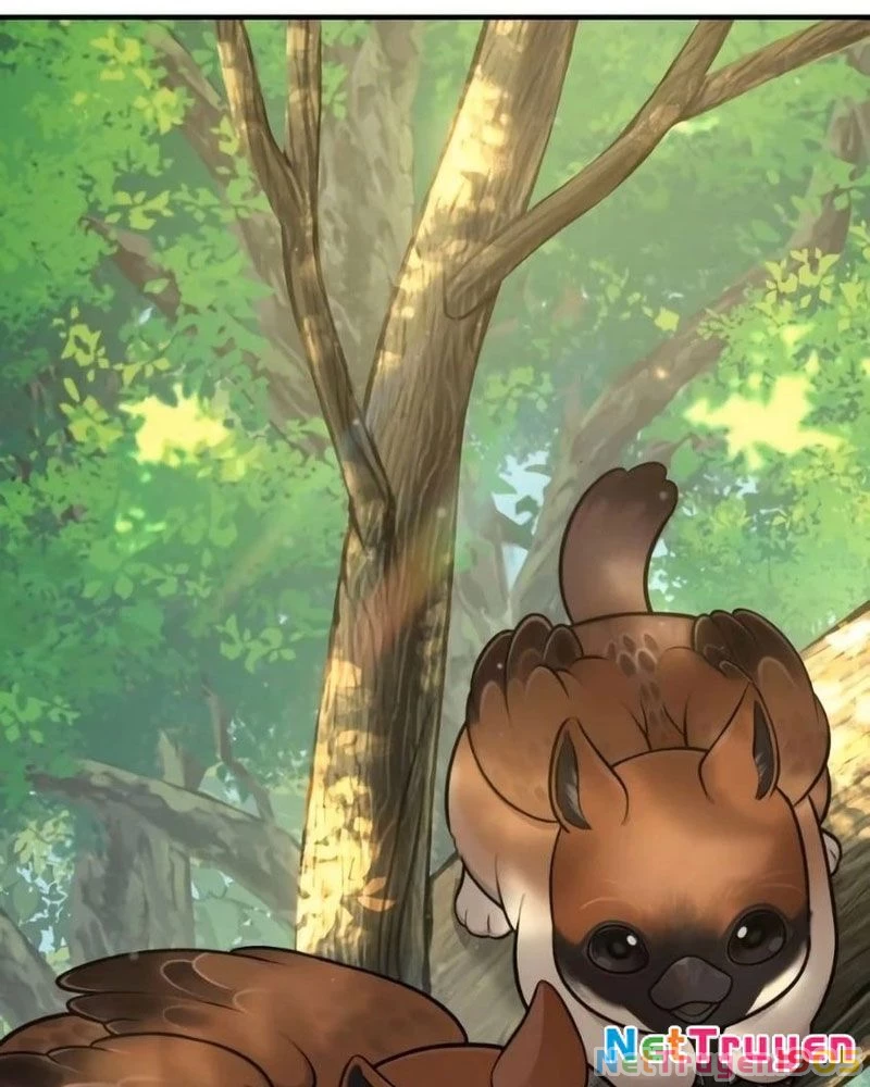 Chào Nhé, Griffin Mắt Tròn! Chapter 6 - Trang 2