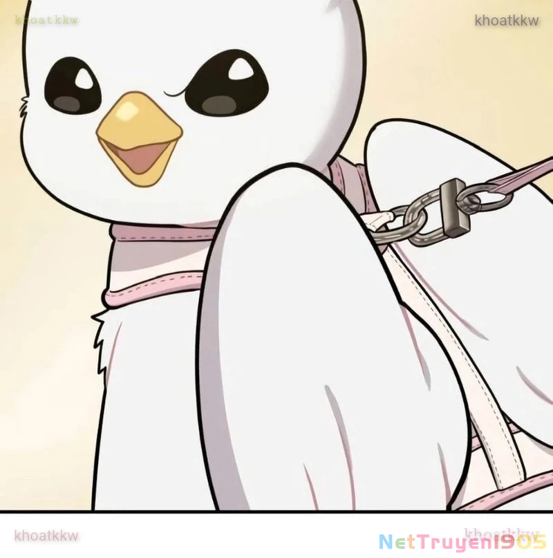 Chào Nhé, Griffin Mắt Tròn! Chapter 6 - Trang 2