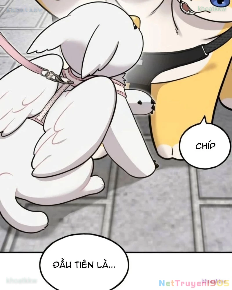 Chào Nhé, Griffin Mắt Tròn! Chapter 6 - Trang 2