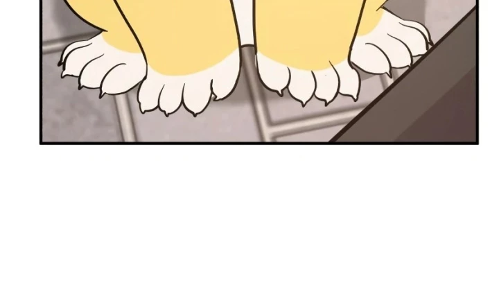 Chào Nhé, Griffin Mắt Tròn! Chapter 7 - Trang 2