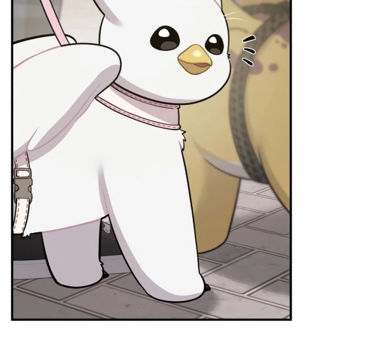 Chào Nhé, Griffin Mắt Tròn! Chapter 7 - Trang 2