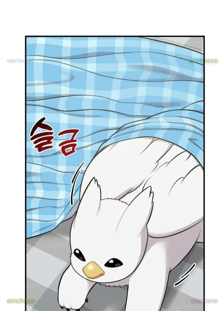 Chào Nhé, Griffin Mắt Tròn! Chapter 11 - Trang 2