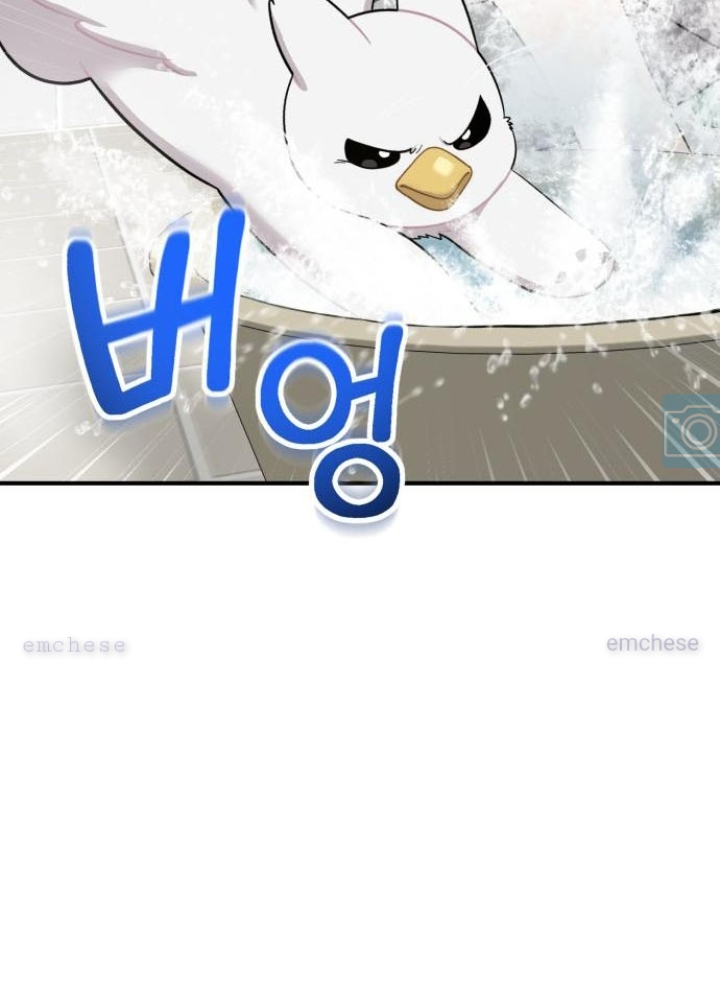 Chào Nhé, Griffin Mắt Tròn! Chapter 11 - Trang 2