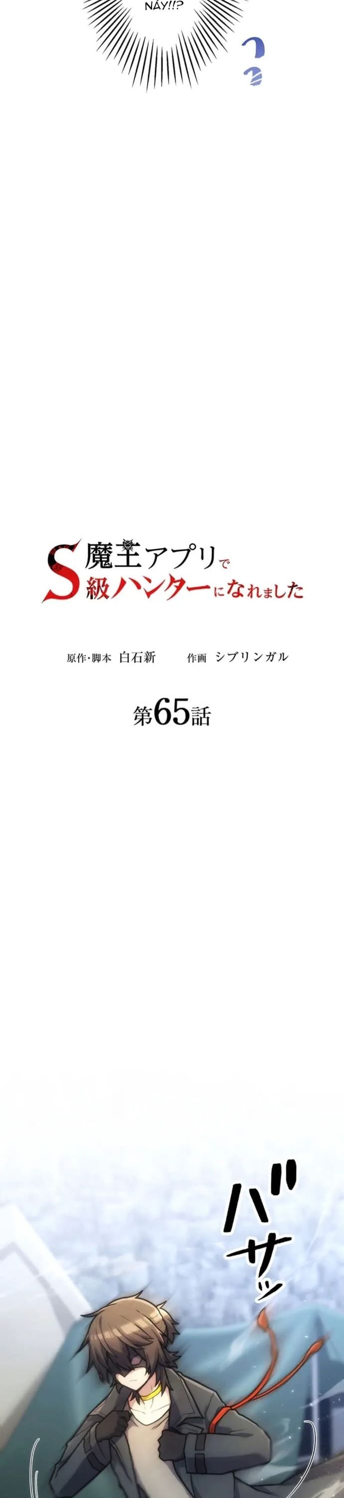 Thăng Cấp Thành Thợ Săn S-Rank Nhờ Ứng Dụng Chúa Quỷ Chapter 65 - Trang 2