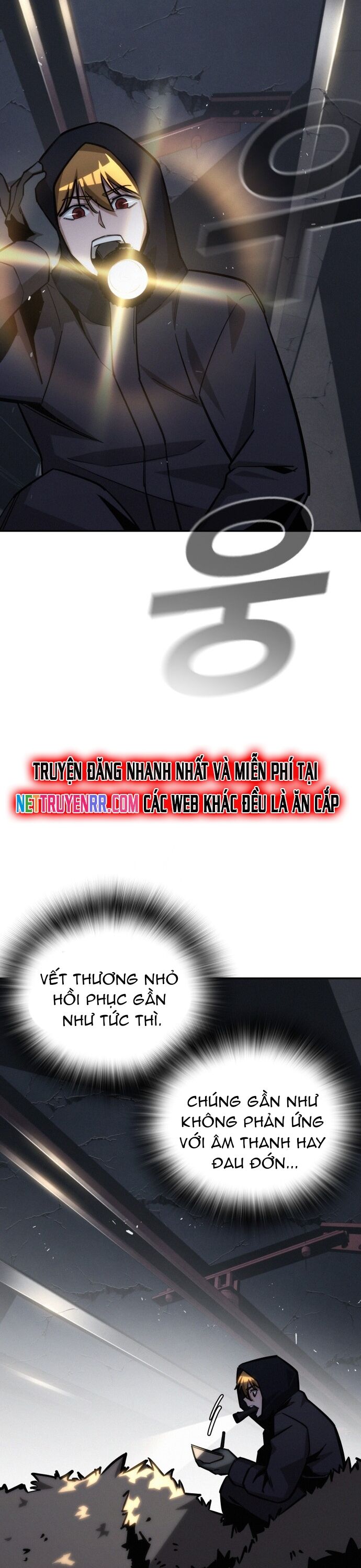 Hồi Quy Giả Chỉ Bảo Vệ Tôi Chapter 23 - Trang 2