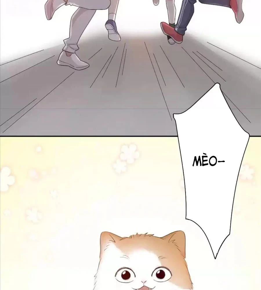 Giờ Nay Cô Ấy Cũng Rất Dễ Thương Chapter 61 - Trang 2