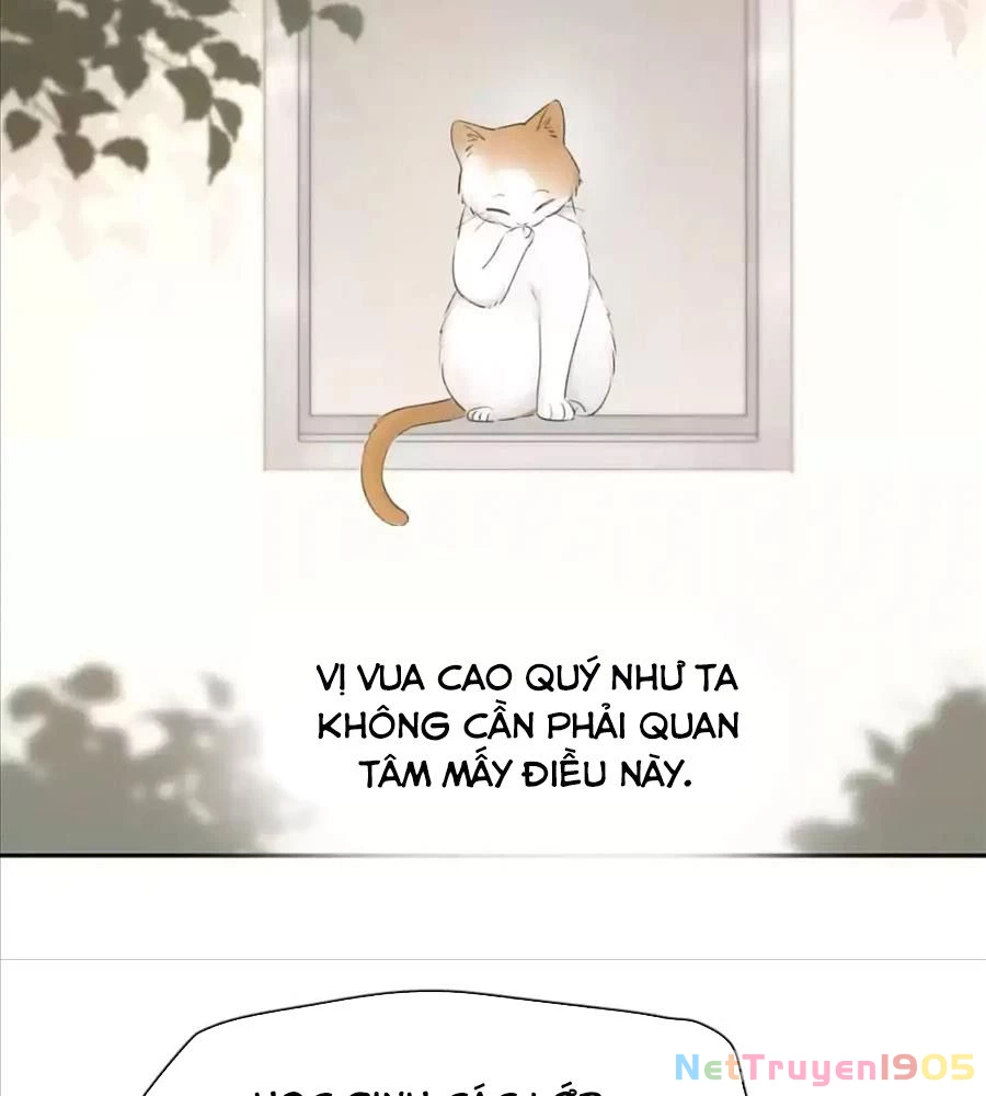 Giờ Nay Cô Ấy Cũng Rất Dễ Thương Chapter 61 - Trang 2