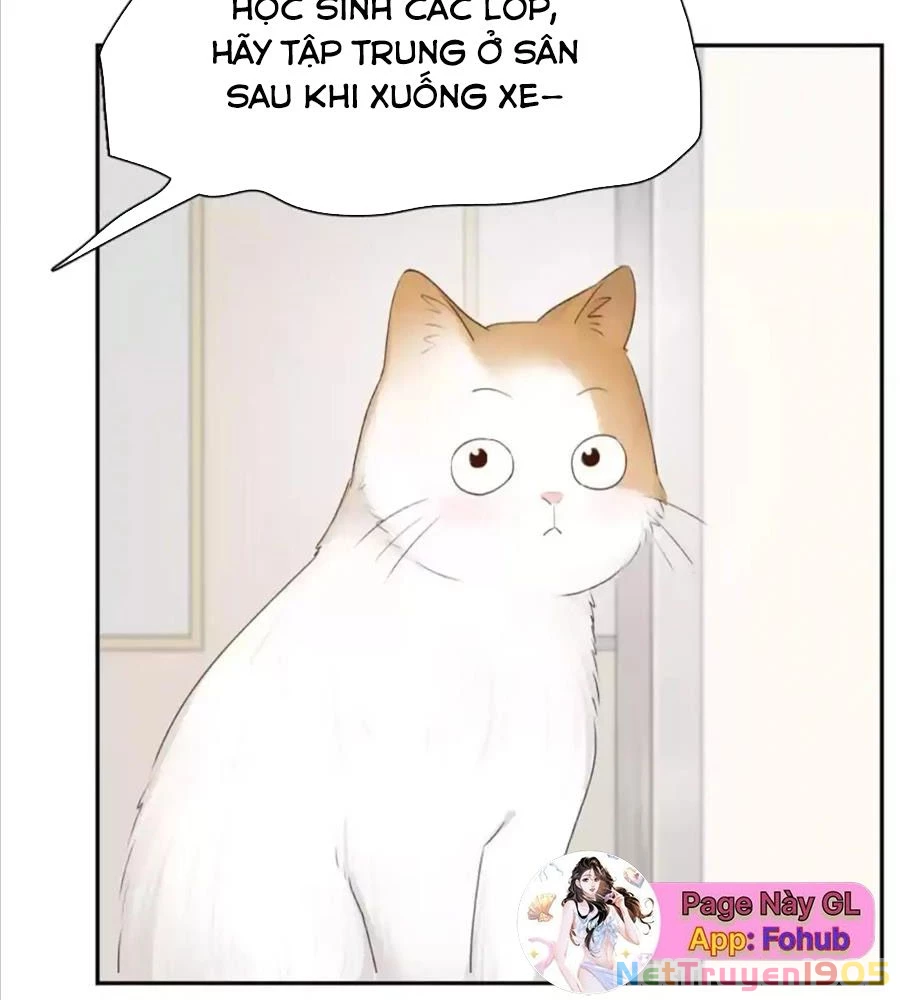 Giờ Nay Cô Ấy Cũng Rất Dễ Thương Chapter 61 - Trang 2