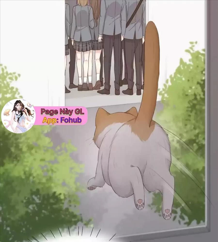 Giờ Nay Cô Ấy Cũng Rất Dễ Thương Chapter 61 - Trang 2