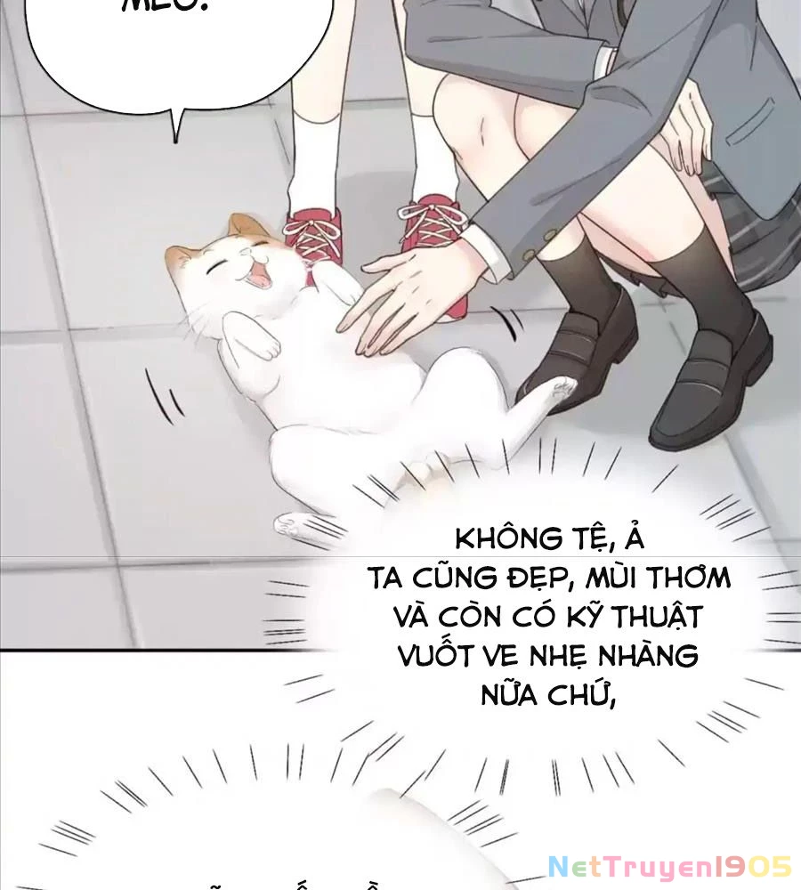 Giờ Nay Cô Ấy Cũng Rất Dễ Thương Chapter 61 - Trang 2