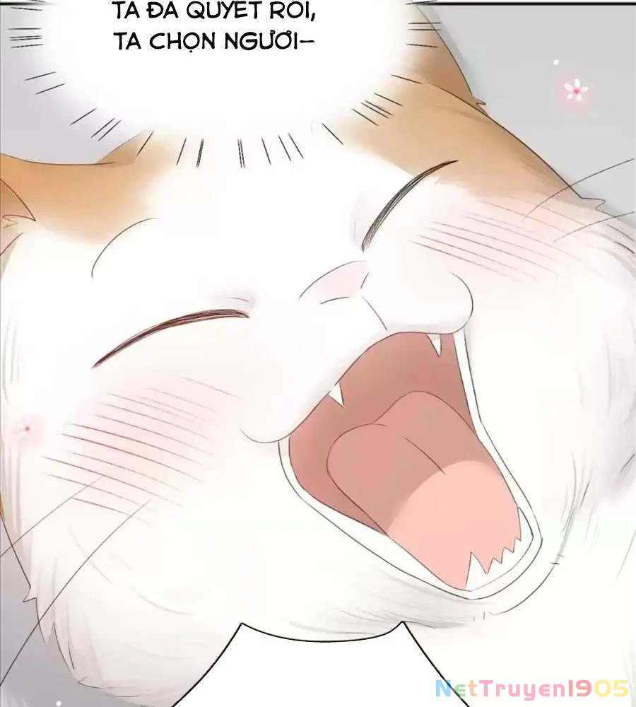Giờ Nay Cô Ấy Cũng Rất Dễ Thương Chapter 61 - Trang 2