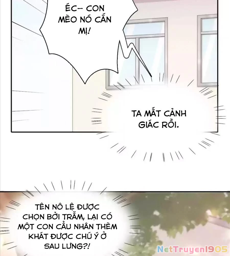Giờ Nay Cô Ấy Cũng Rất Dễ Thương Chapter 61 - Trang 2