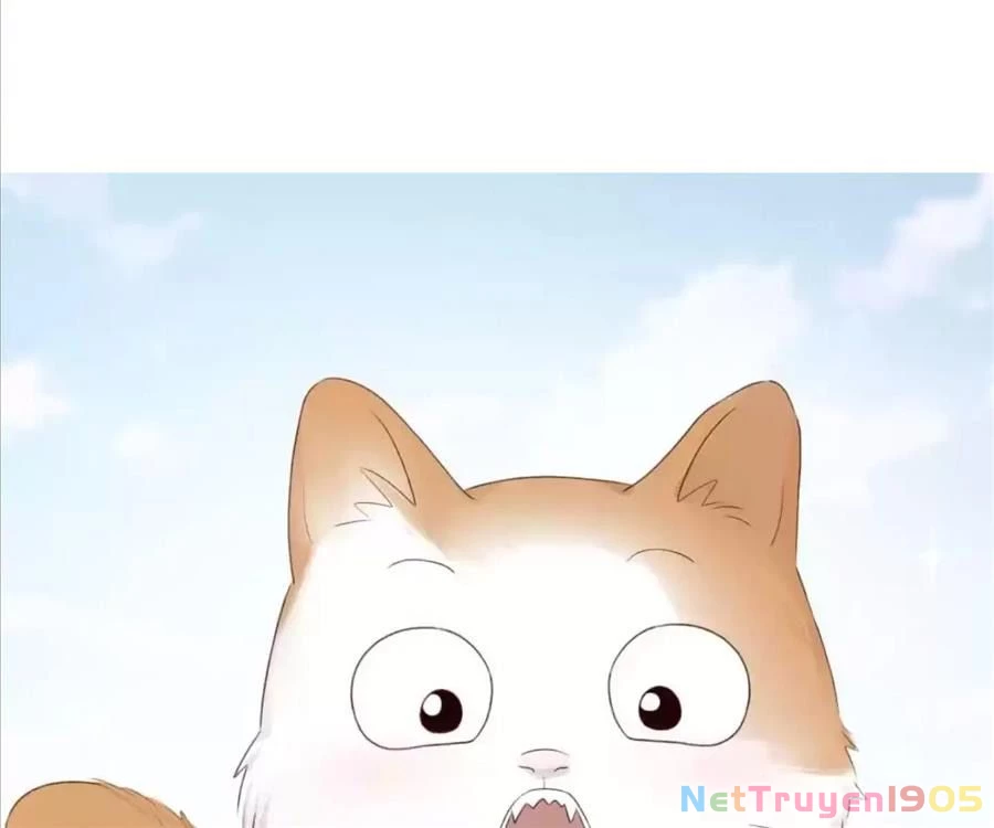 Giờ Nay Cô Ấy Cũng Rất Dễ Thương Chapter 61 - Trang 2