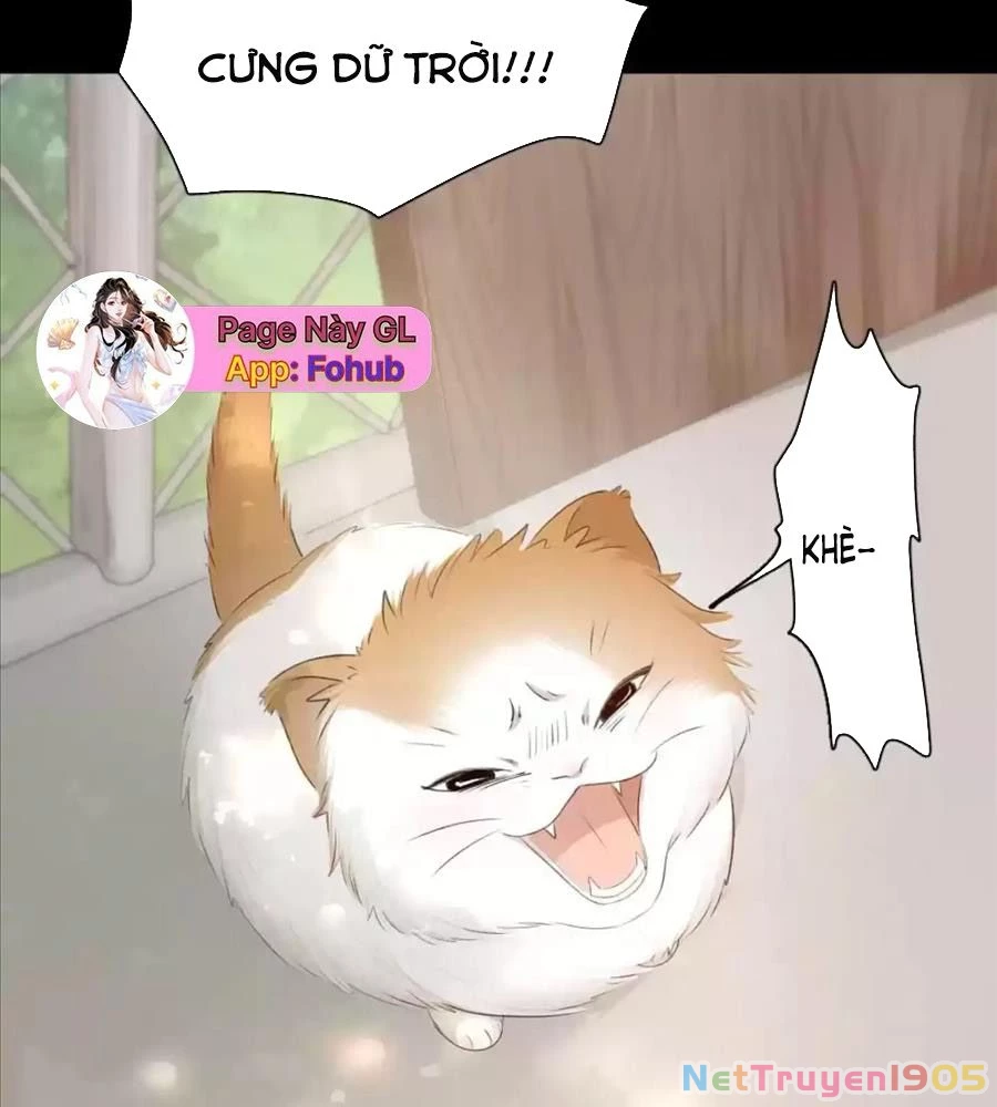 Giờ Nay Cô Ấy Cũng Rất Dễ Thương Chapter 61 - Trang 2