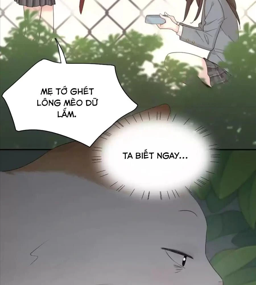 Giờ Nay Cô Ấy Cũng Rất Dễ Thương Chapter 61 - Trang 2