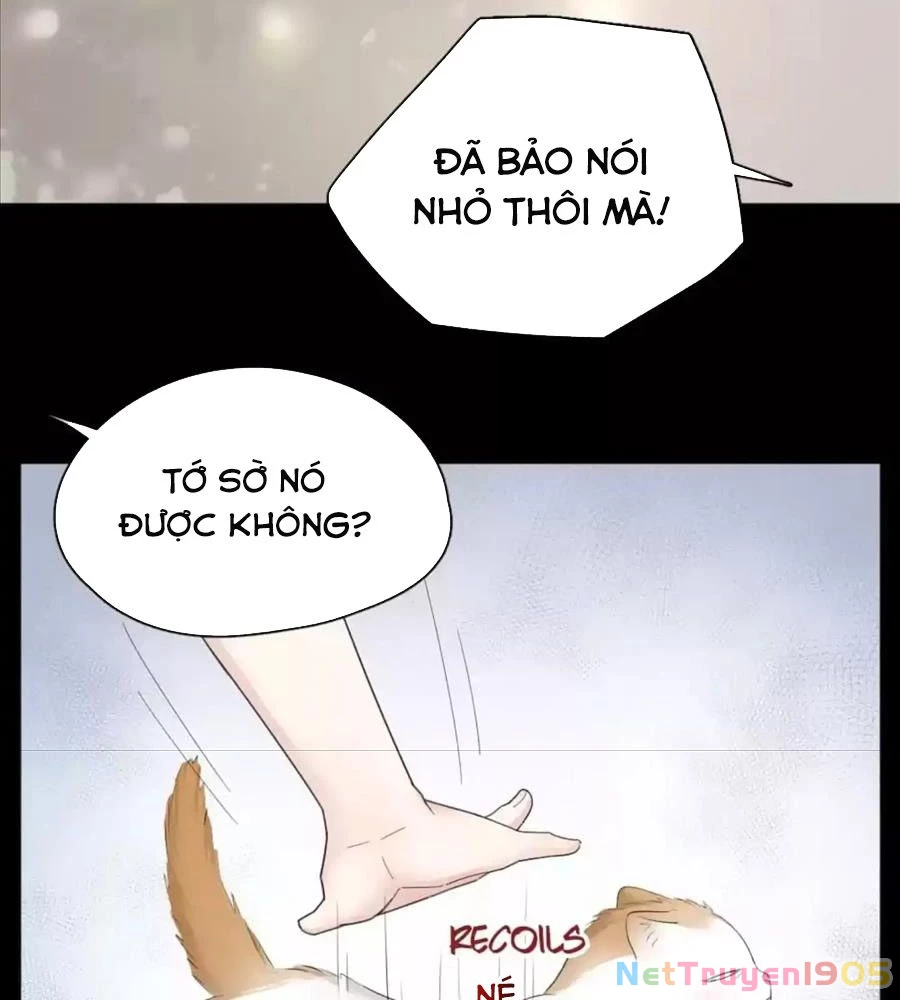 Giờ Nay Cô Ấy Cũng Rất Dễ Thương Chapter 61 - Trang 2