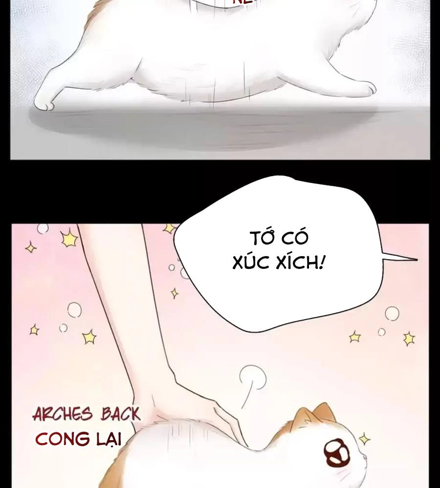 Giờ Nay Cô Ấy Cũng Rất Dễ Thương Chapter 61 - Trang 2