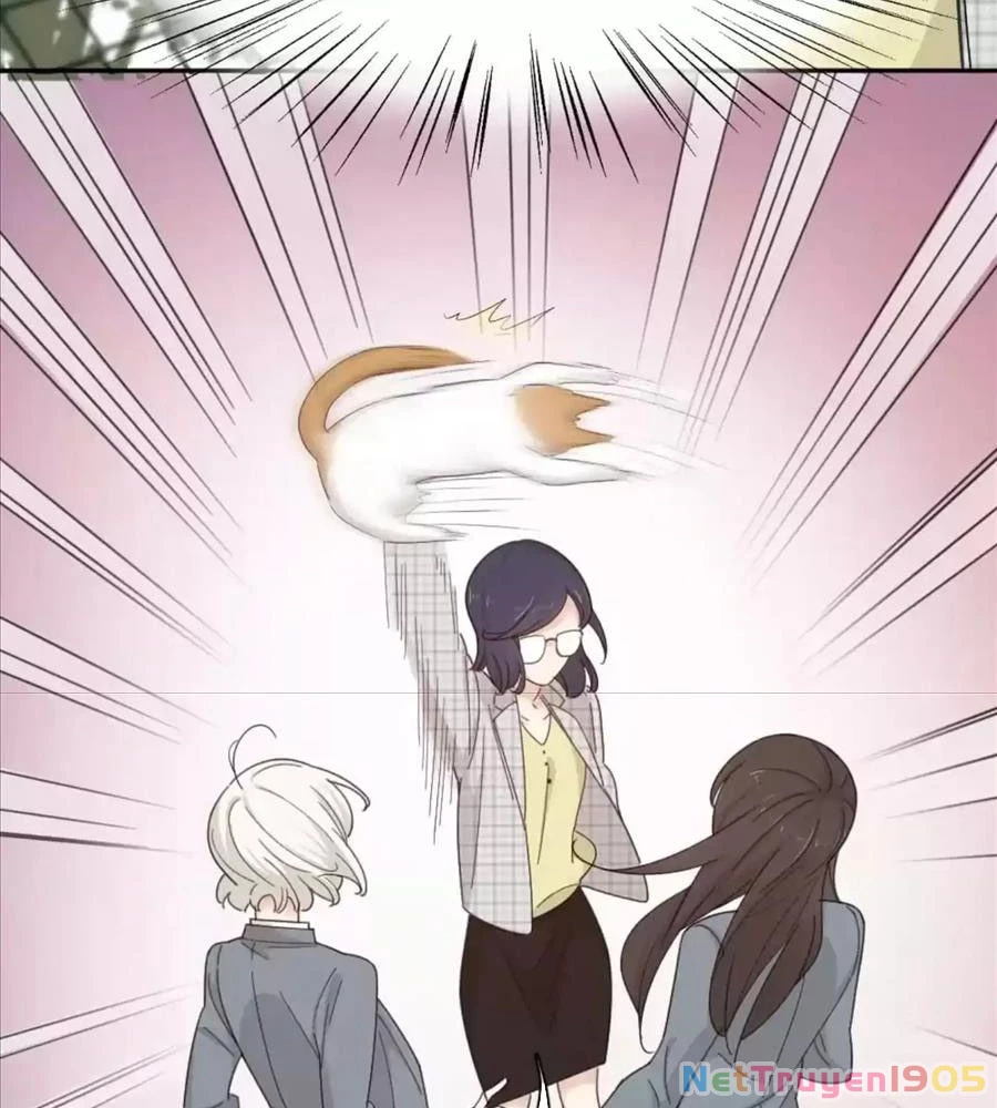 Giờ Nay Cô Ấy Cũng Rất Dễ Thương Chapter 61 - Trang 2