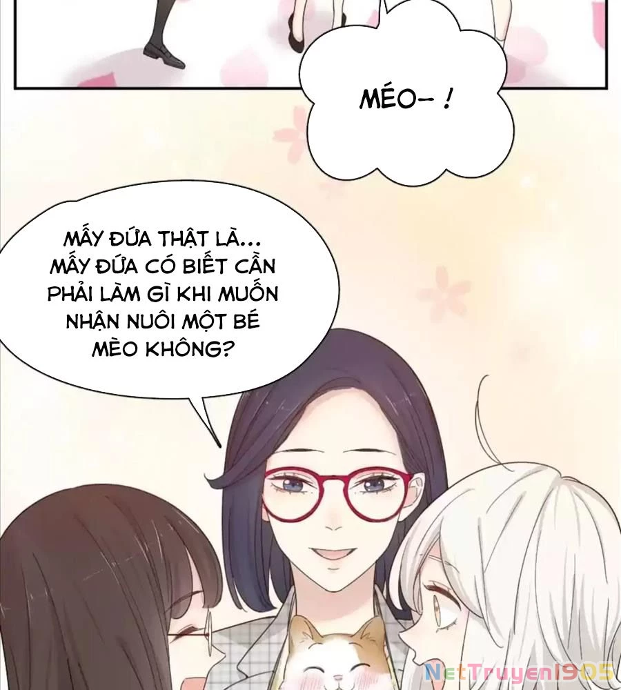 Giờ Nay Cô Ấy Cũng Rất Dễ Thương Chapter 61 - Trang 2