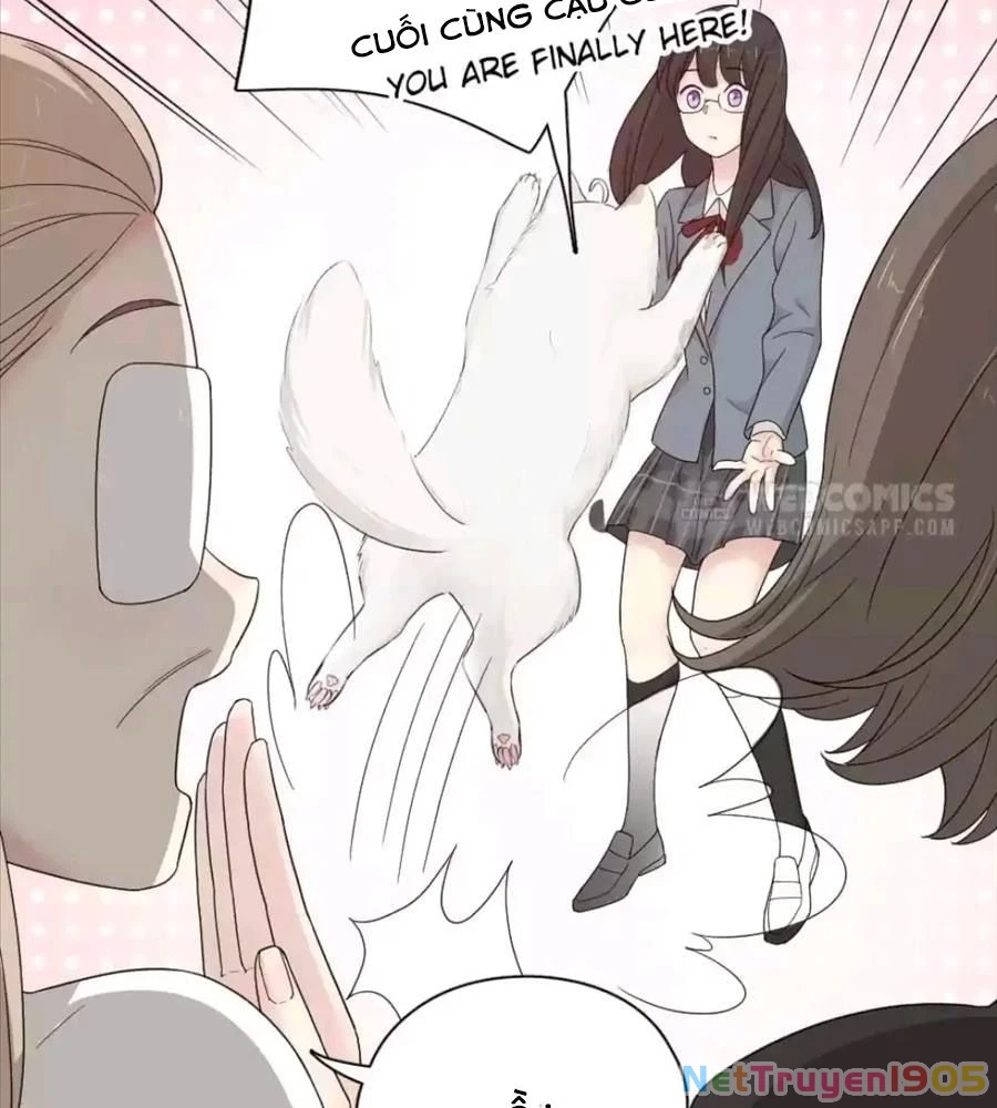 Giờ Nay Cô Ấy Cũng Rất Dễ Thương Chapter 62 - Trang 2