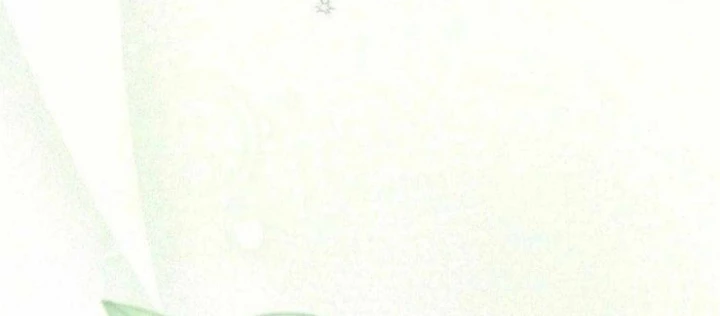 Ma Pháp Quân Chủ Chapter 15 - Trang 2