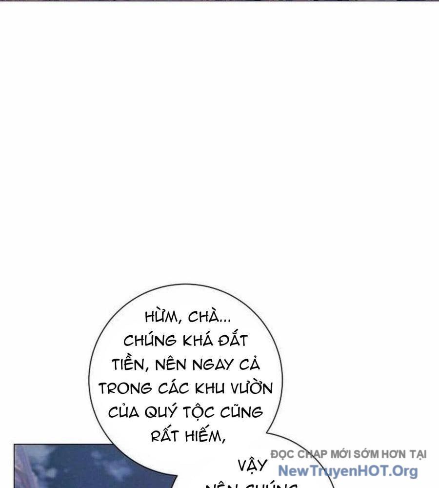 Ma Pháp Quân Chủ Chapter 18 - Trang 2