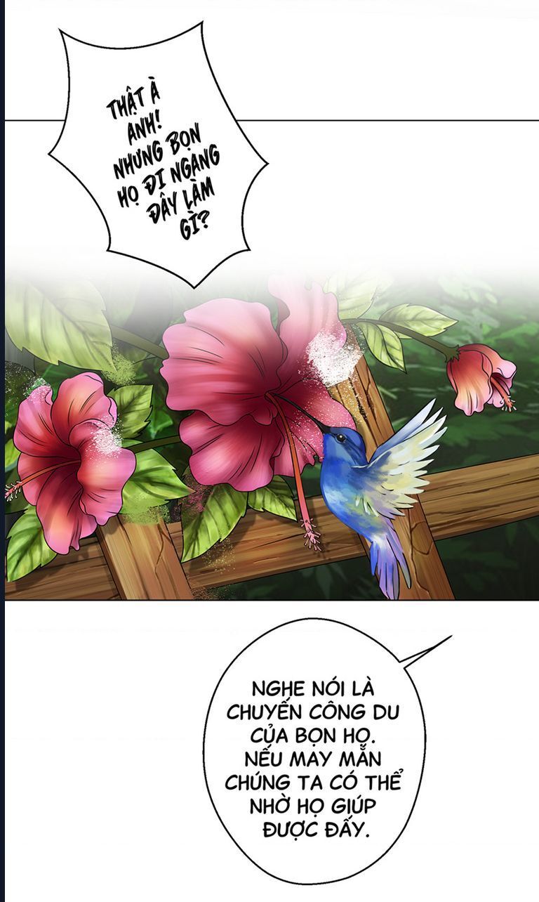 Kinhcomic Phù Thủy Kiến Tạo | Sự Trỗi Dậy Của Loài Pan Chapter 1 - Trang 2