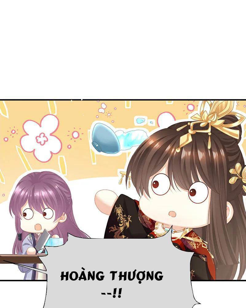 Hậu Cung Của Nữ Đế Chapter 406 - Trang 2