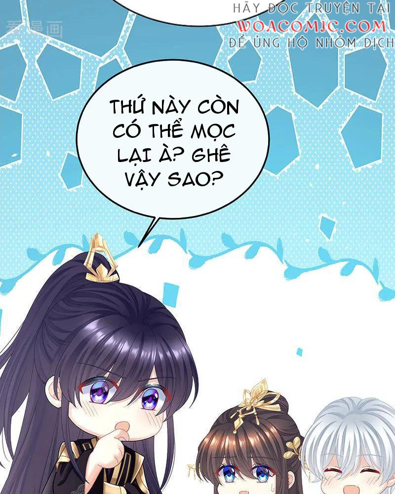 Hậu Cung Của Nữ Đế Chapter 431 - Trang 2