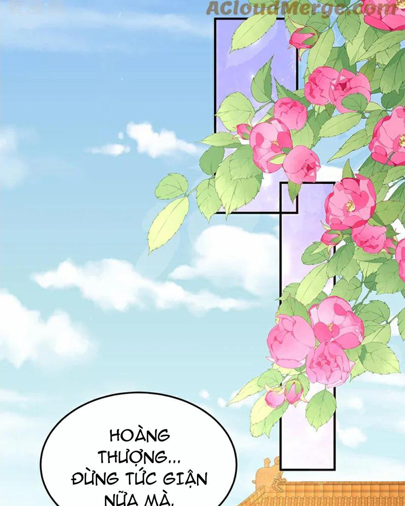 Hậu Cung Của Nữ Đế Chapter 449 - Trang 2