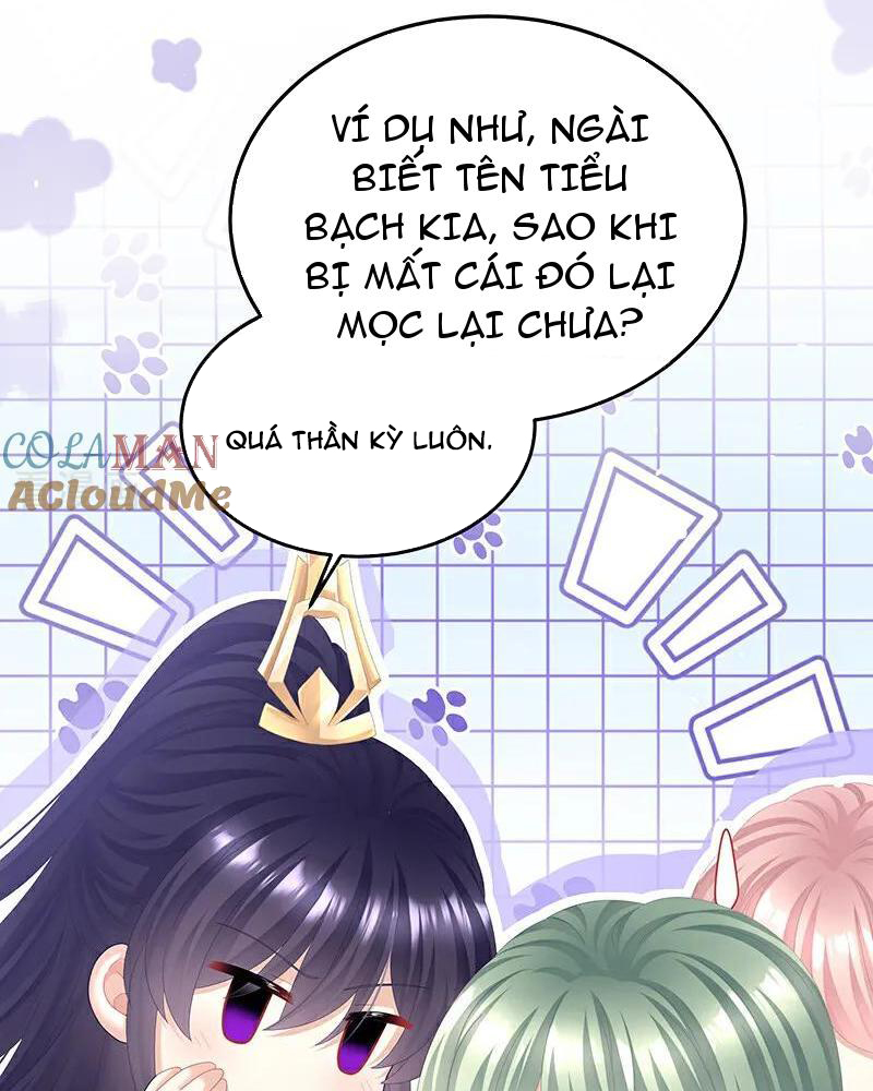 Hậu Cung Của Nữ Đế Chapter 455 - Trang 2