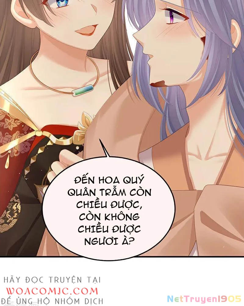 Hậu Cung Của Nữ Đế Chapter 459 - Trang 2
