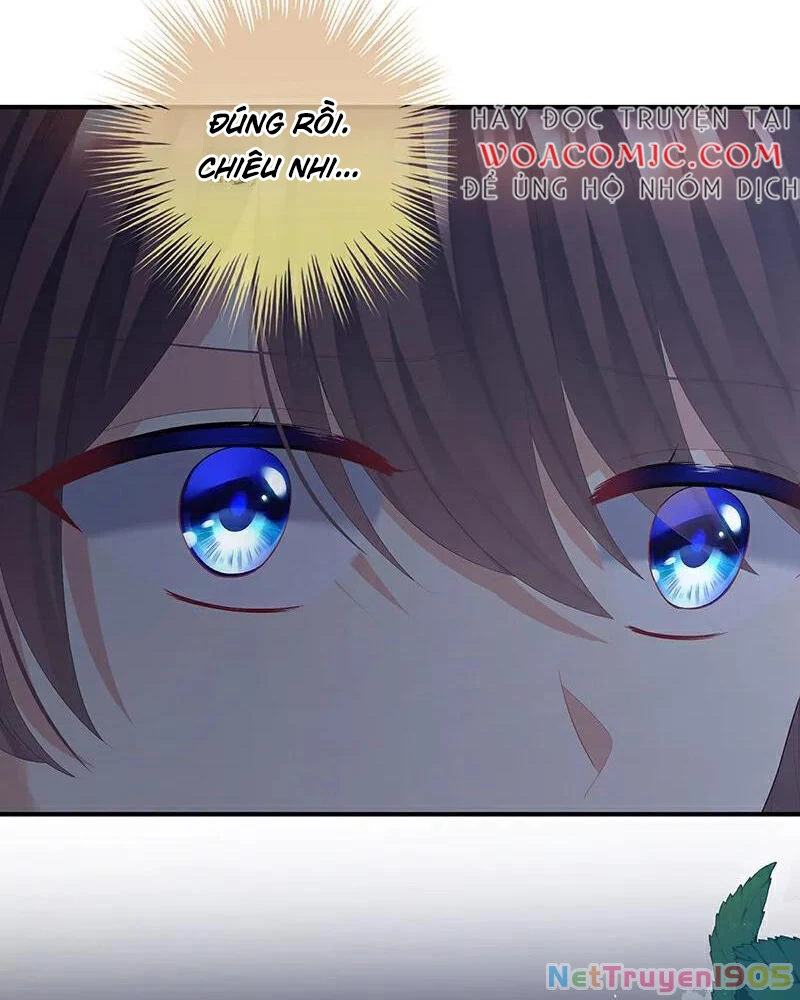Hậu Cung Của Nữ Đế Chapter 459 - Trang 2