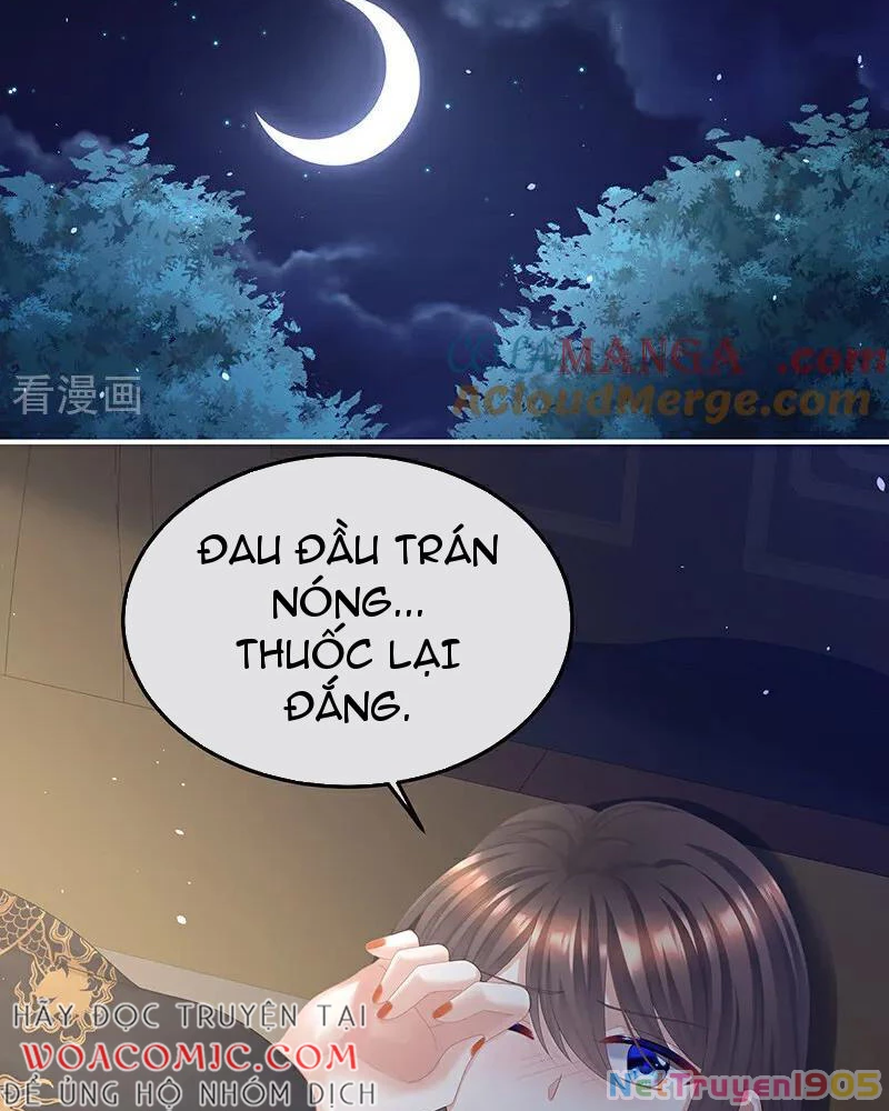 Hậu Cung Của Nữ Đế Chapter 460 - Trang 2