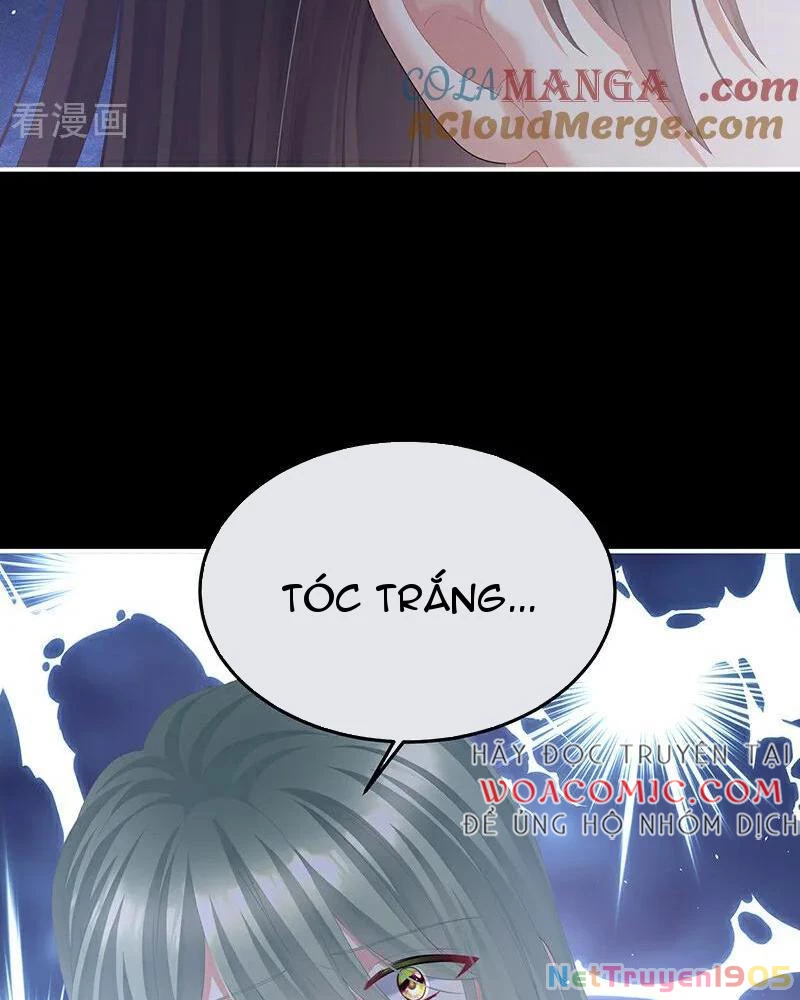 Hậu Cung Của Nữ Đế Chapter 460 - Trang 2