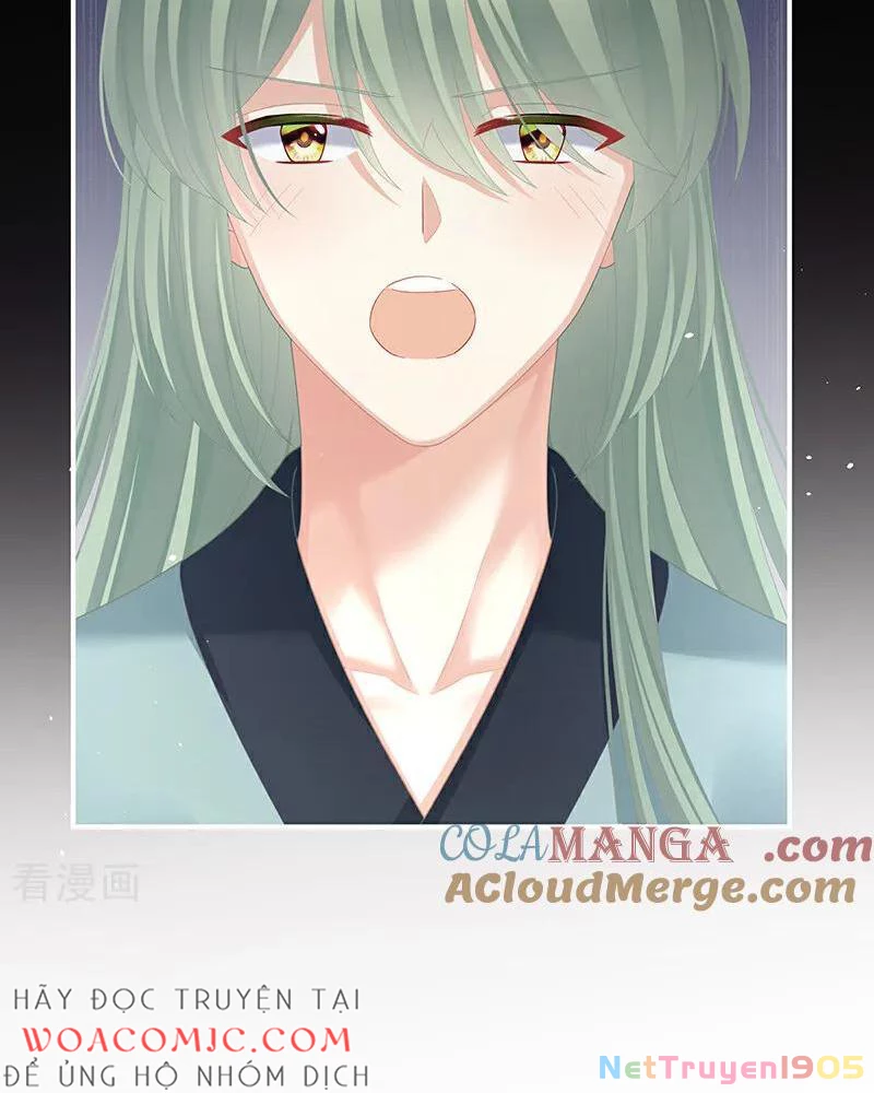 Hậu Cung Của Nữ Đế Chapter 464 - Trang 2
