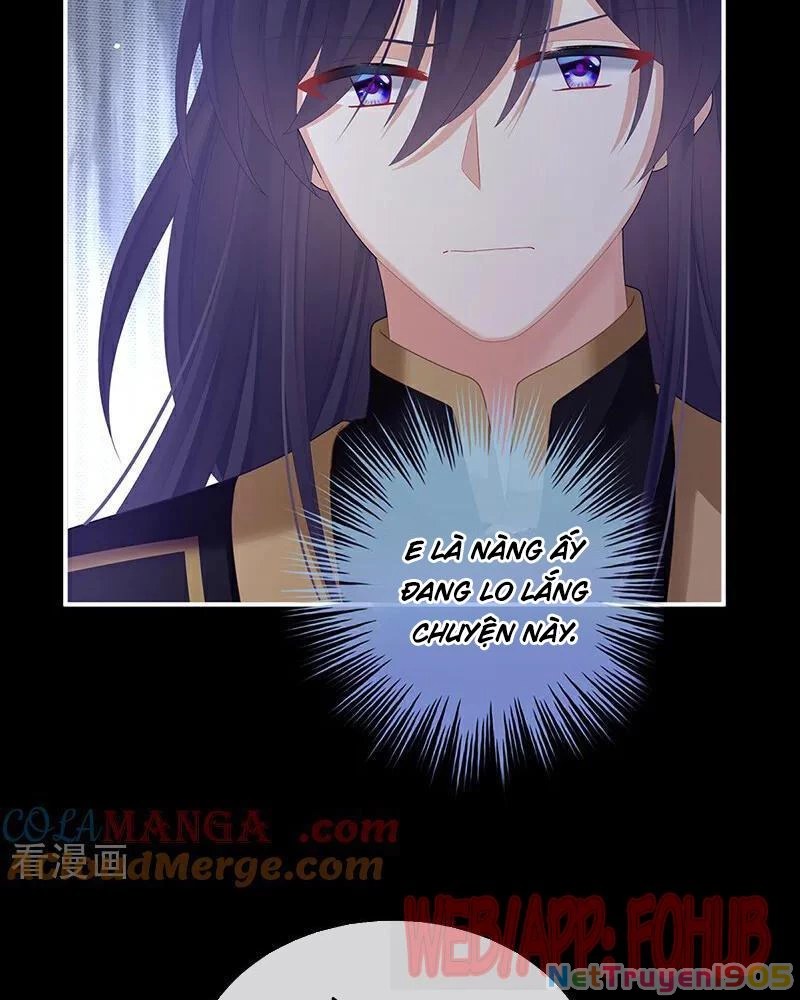 Hậu Cung Của Nữ Đế Chapter 467 - Trang 2