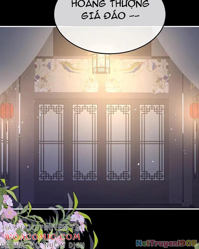 Hậu Cung Của Nữ Đế Chapter 472 - Trang 2