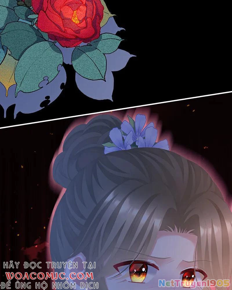 Hậu Cung Của Nữ Đế Chapter 472 - Trang 2