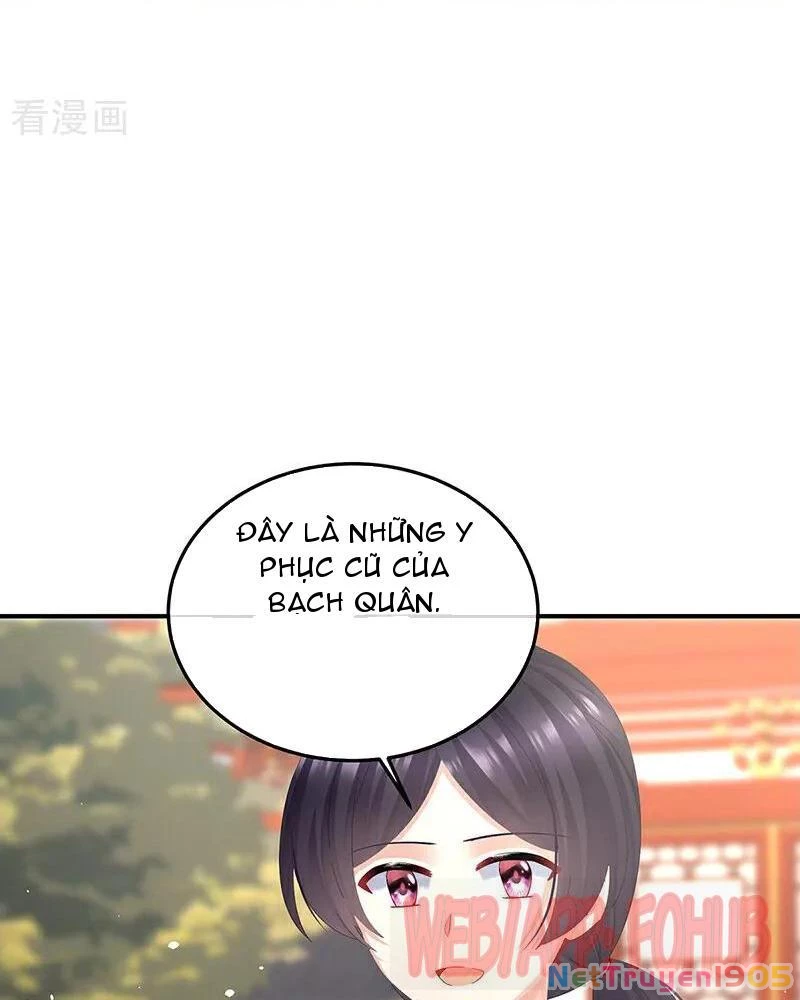 Hậu Cung Của Nữ Đế Chapter 472 - Trang 2