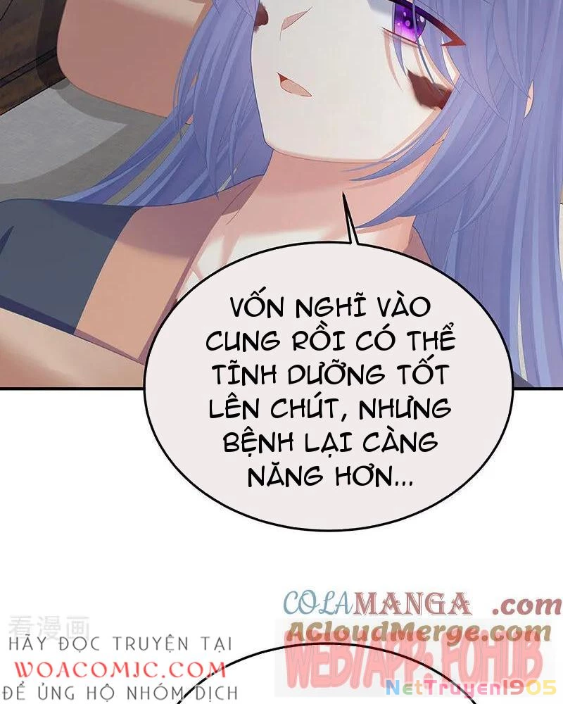 Hậu Cung Của Nữ Đế Chapter 472 - Trang 2