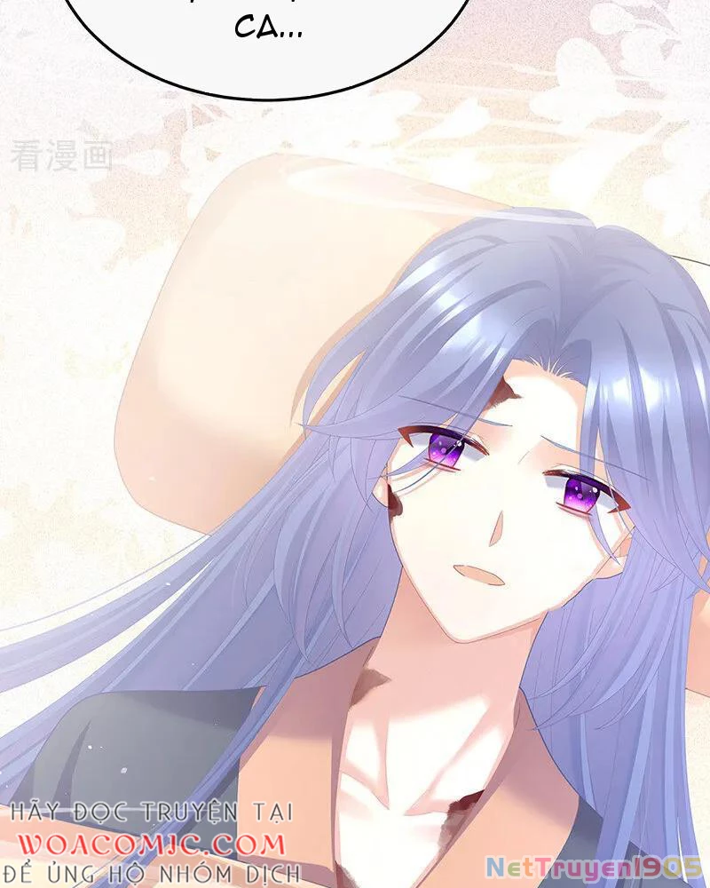 Hậu Cung Của Nữ Đế Chapter 472 - Trang 2