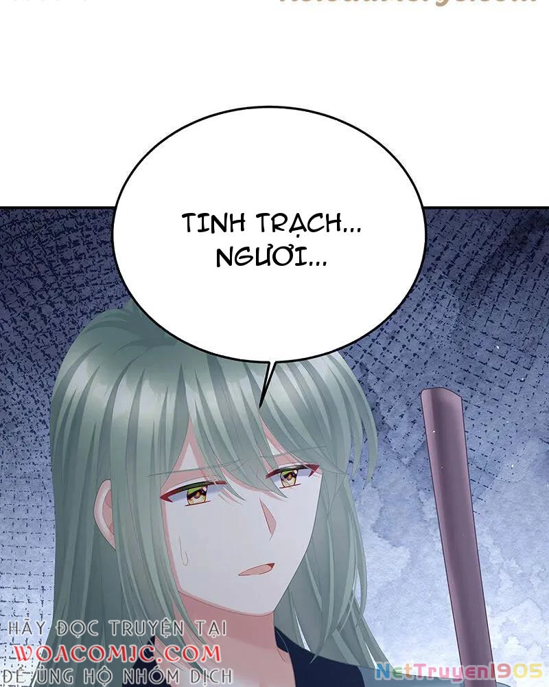 Hậu Cung Của Nữ Đế Chapter 476 - Trang 2