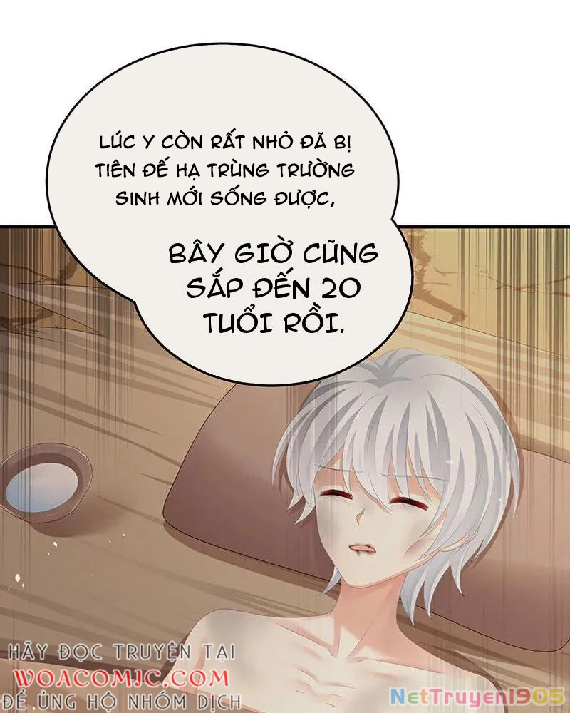 Hậu Cung Của Nữ Đế Chapter 478 - Trang 2
