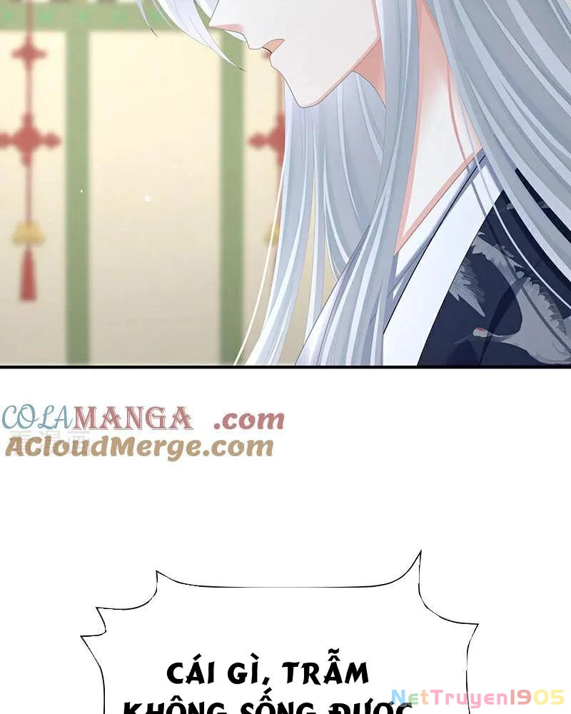 Hậu Cung Của Nữ Đế Chapter 478 - Trang 2