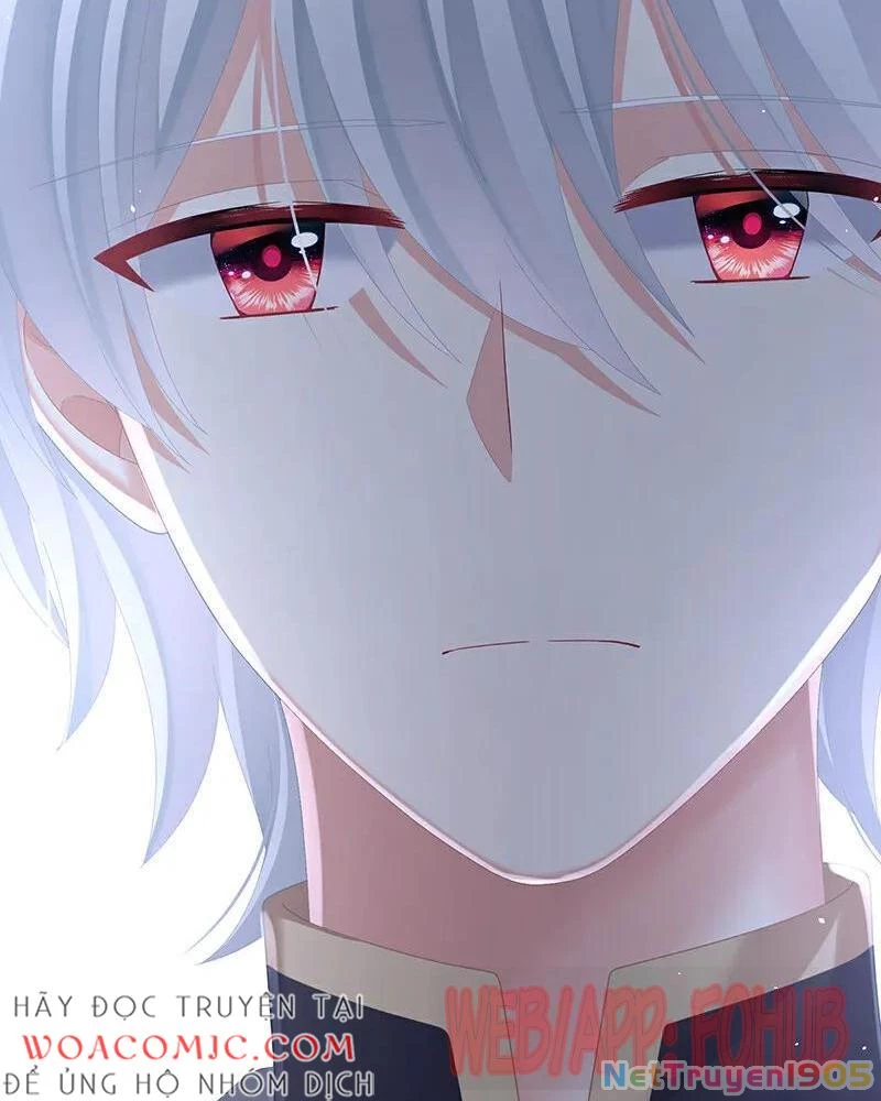 Hậu Cung Của Nữ Đế Chapter 478 - Trang 2